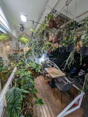  at Islander Cafe 嶼人咖啡 in Taipei