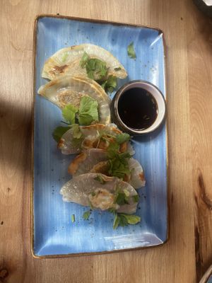 Mushroom dumplings  at Astroboy in Whangarei