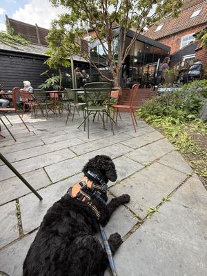   at Twyfords Cafe in Beccles