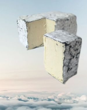 Carbella vegan cheese with mold at Fermented Food in Ivano-frankivsk