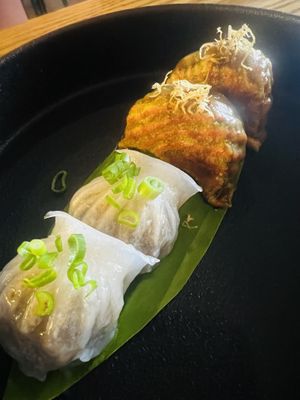   at Green Mantis in New Delhi