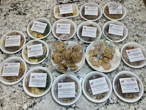   at Plant Based Trace in Gainesville