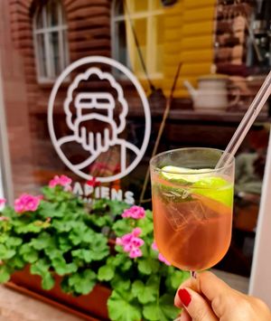  at Sapiens Cafe & Bar in Heidelberg