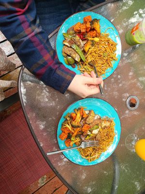 Pure city lo mein, General tsos tofu, and black pepper veggie slices at Pure City in Pine Bush