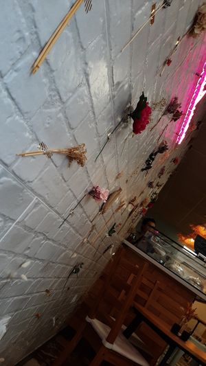 Flowered wall at Lavaysalt in Gran Canaria