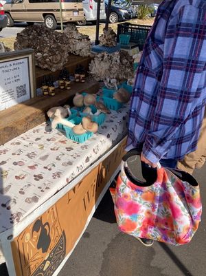 Mushrooms  at West Asheville Tailgate Market in Asheville
