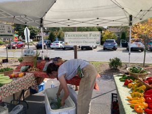 Vegetables at West Asheville Tailgate Market in Asheville