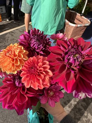 Beautiful flowers  at West Asheville Tailgate Market in Asheville