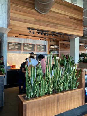Ordering at counter at Northstar Café in Shaker Heights in Shaker Heights