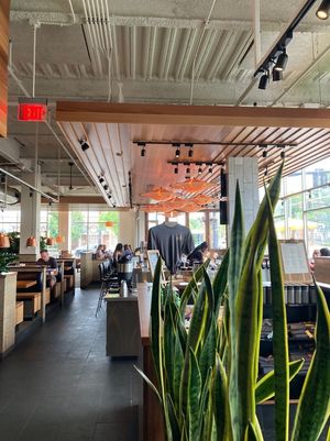 Interior  at Northstar Café in Shaker Heights in Shaker Heights