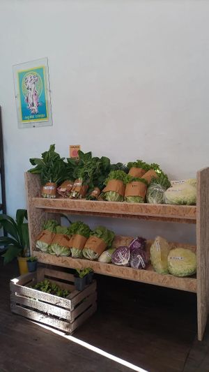  at LEGU in Villa General Belgrano