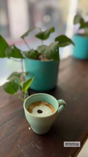  at Mavi Cafe in Udaipur