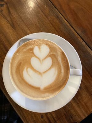  at Mavi Cafe in Udaipur