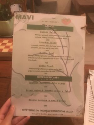 Everything  can be made vegan  at Mavi Cafe in Udaipur