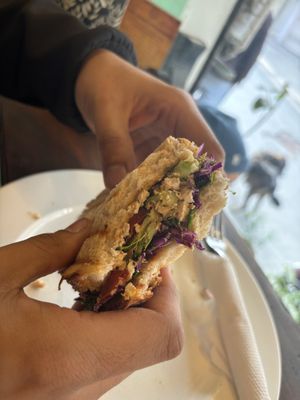 Tofu haven   at Mavi Cafe in Udaipur