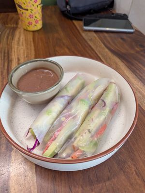 Summer rolls (without the mango 😥) at Mavi Cafe in Udaipur