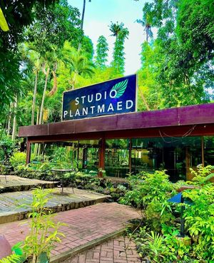  at Studio Plantmaed Ph in Talisay Batangas