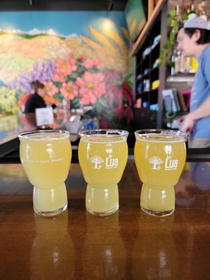  at Lua Brewing in Des Moines