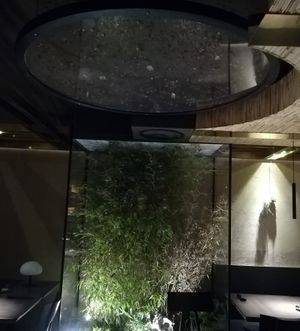 Interior at Citta Vegan Izakaya in Hamburg