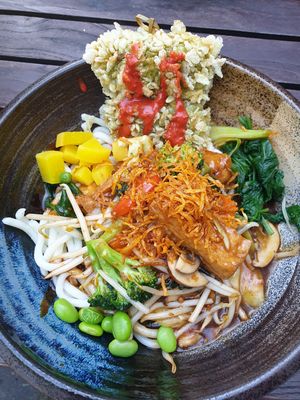 Udon noodles at Citta Vegan Izakaya in Hamburg