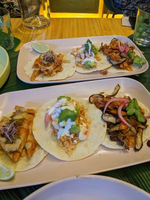 taxosy at TROPICOOL in Madrid