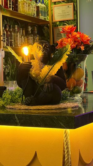   at TROPICOOL in Madrid