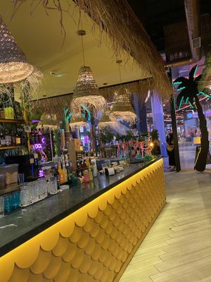 Barra  at TROPICOOL in Madrid