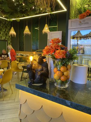 Decoración   at TROPICOOL in Madrid