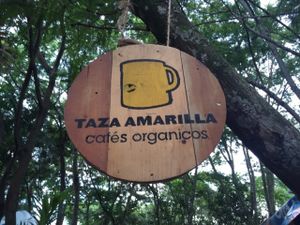 Taza Amarilla coffee stand at Feria Verde de Ciudad Colon in San Jose
