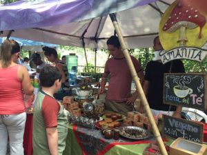 Smoothies and cakes at Feria Verde de Ciudad Colon in San Jose