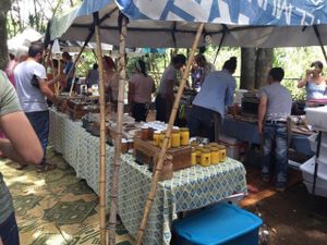 Tierra Viva stand at Feria Verde de Ciudad Colon in San Jose