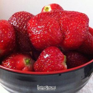 Organic Strawberries at Feria Verde de Ciudad Colon in San Jose