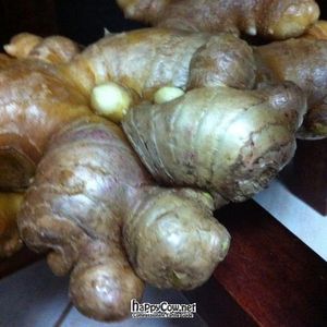 Organic Ginger at Feria Verde de Ciudad Colon in San Jose