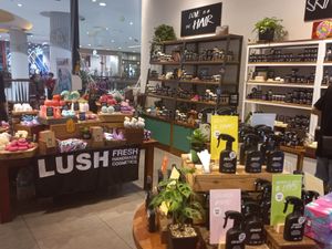 Inside at LUSH in Chiang Mai