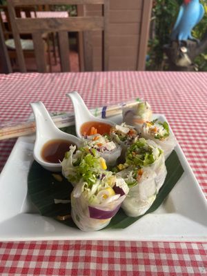 Fresh vegan spring rolls with tofu   at Spring Rolls Lanta in Koh Lanta