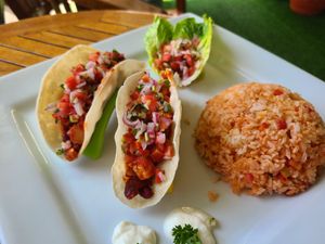  at Big Apple Dive Resort in Puerto Galera