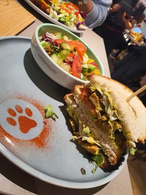  at Katzentempel - Hamburg in Hamburg