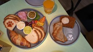 2 person brunch at Katzentempel - Hamburg in Hamburg