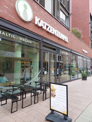  at Katzentempel - Hamburg in Hamburg