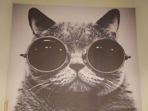  at Katzentempel - Hamburg in Hamburg