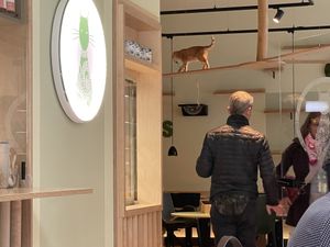   at Katzentempel - Hamburg in Hamburg