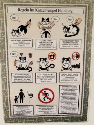   at Katzentempel - Hamburg in Hamburg