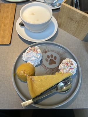 Sommer, sonne, schleckermäulchen 🌞  at Katzentempel - Hamburg in Hamburg
