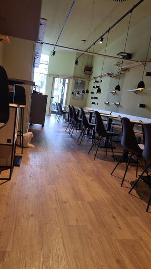  at Katzentempel - Hamburg in Hamburg