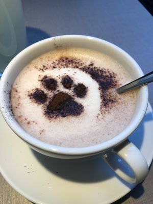 Hot chocolate with oat milk  at Katzentempel - Hamburg in Hamburg