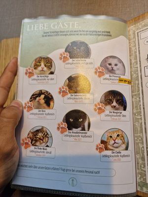   at Katzentempel - Hamburg in Hamburg