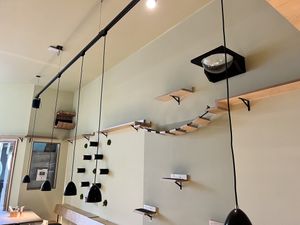   at Katzentempel - Hamburg in Hamburg