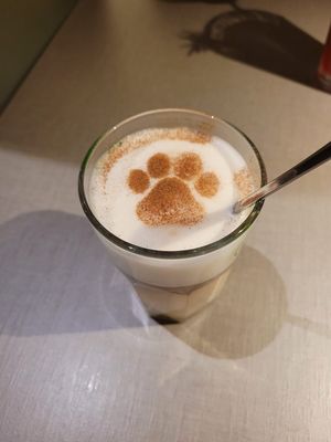  at Katzentempel - Hamburg in Hamburg