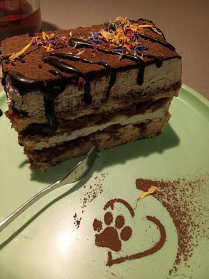  at Katzentempel - Hamburg in Hamburg