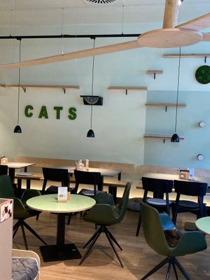  at Katzentempel - Hamburg in Hamburg